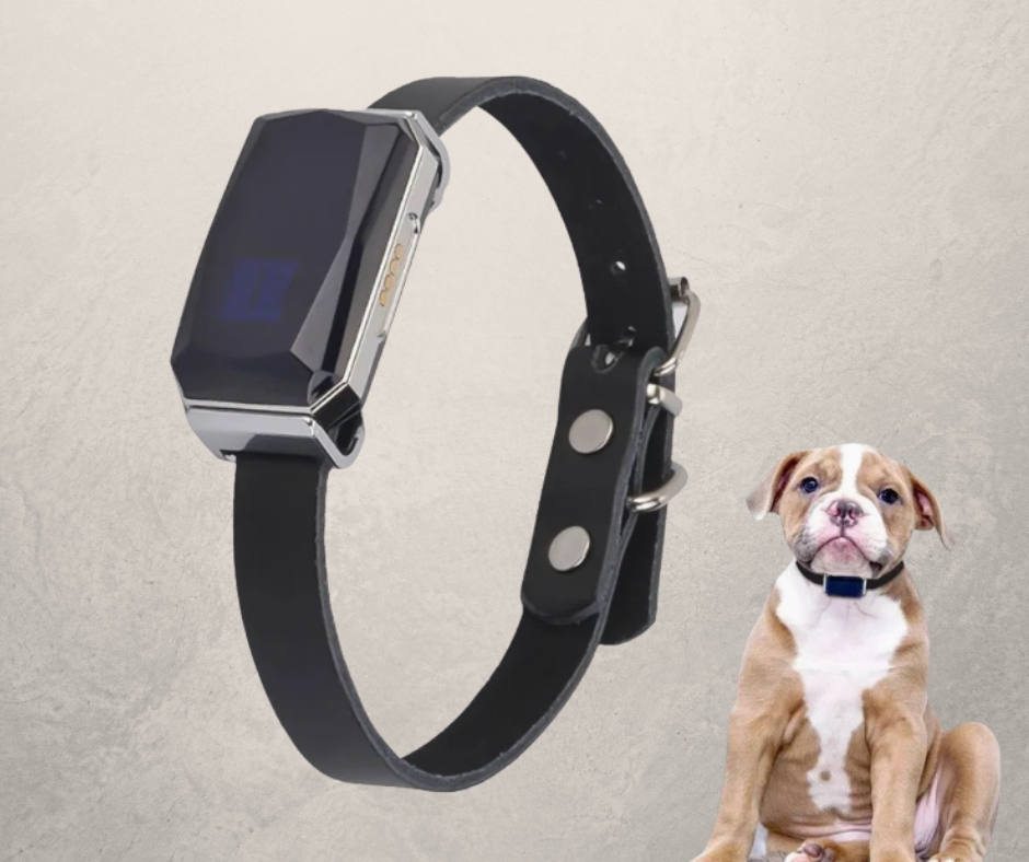 PetGuard Pro GPS