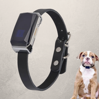 PetGuard Pro GPS