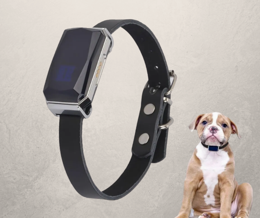 PetGuard Pro GPS